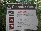 Crocodile Safety