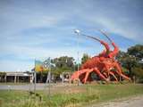 Lobster in Kingston