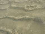 Wellen auf spiegelglattem Sand