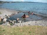 Hotwaterbeach am Lake Taupo