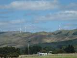 die Windfarm in Woodville