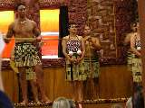 Maori-Kultur für Touristen