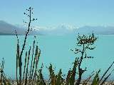 Lake Pukaki mit Mount Cook