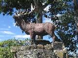 Mossburn, die Deer Capital